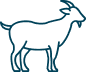 Tiere